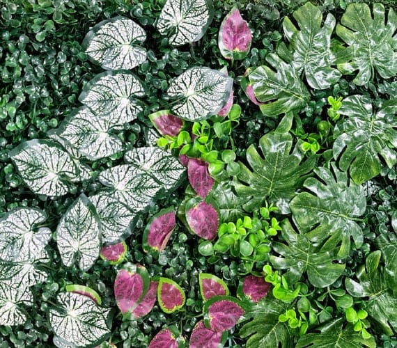 Artificial Vertical Garden